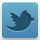 Find us on Twitter